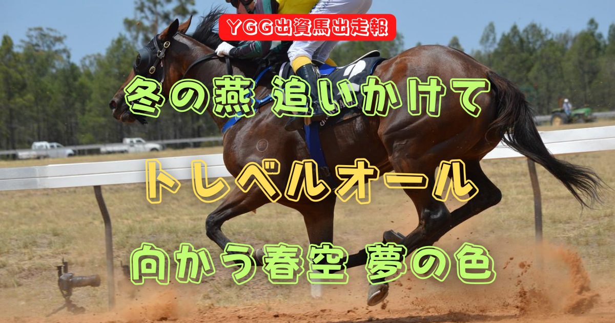 冬の燕 追いかけて　トレベルオール　向かう春空 夢の色